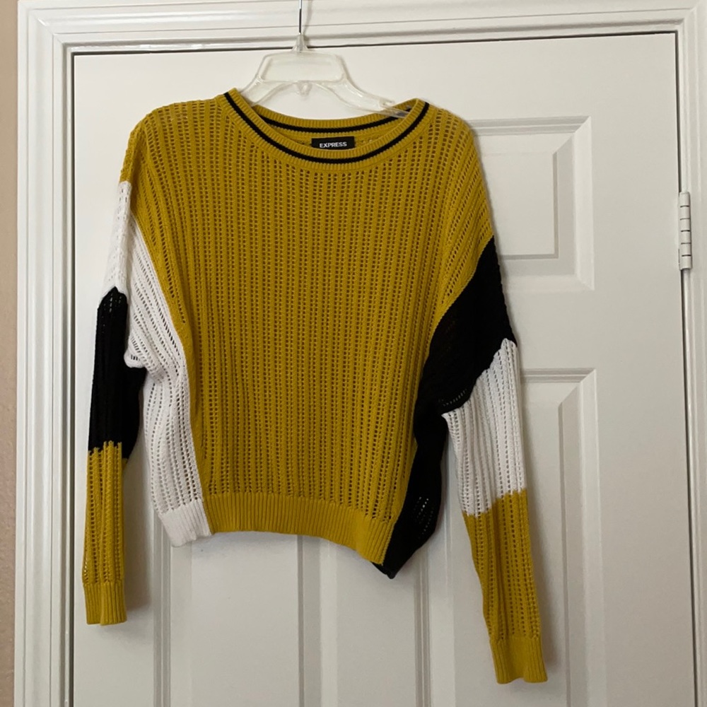 Express color block sweater